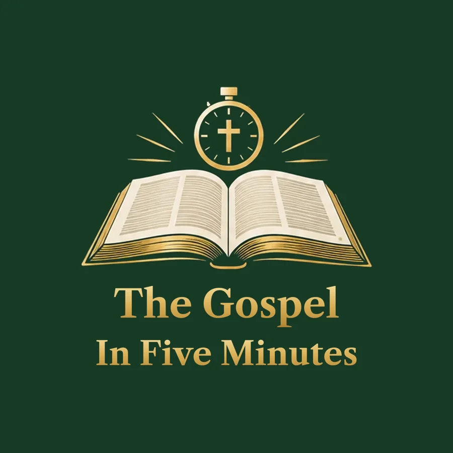 The Gospel In Five Minutes Hoodie